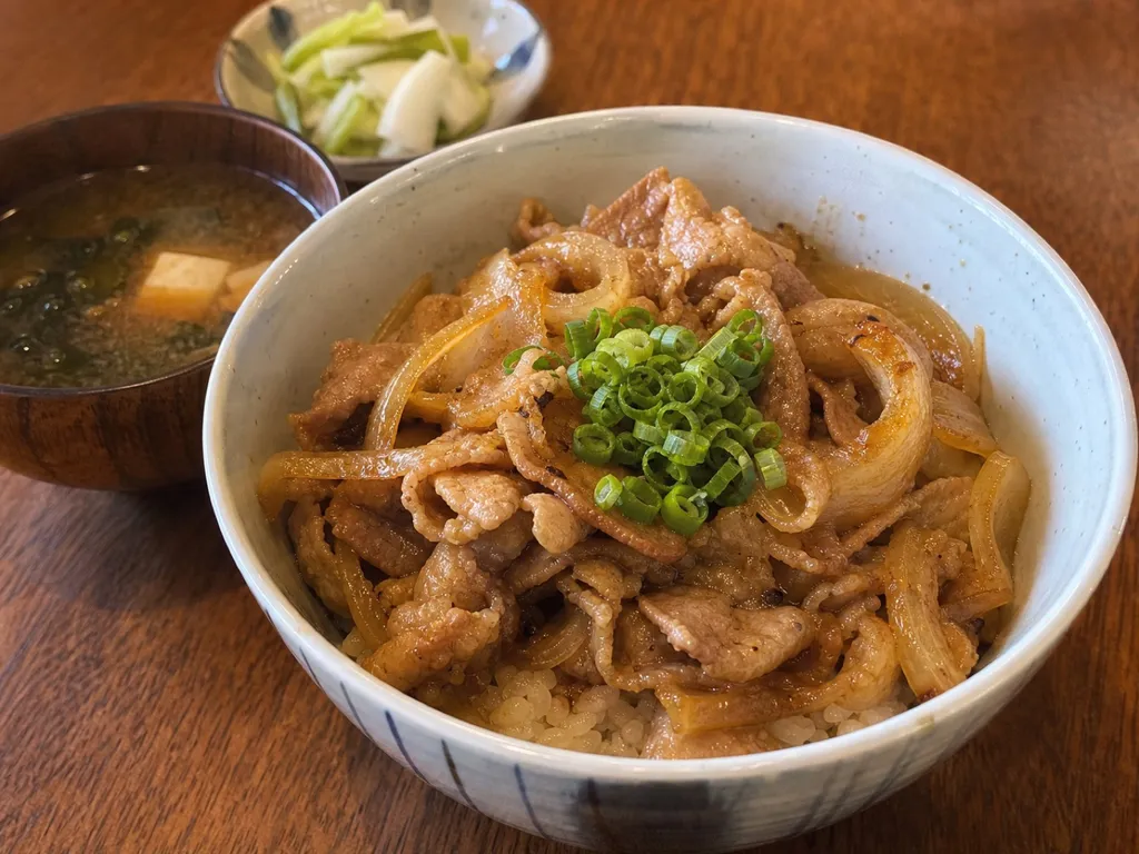 Butadon (Pork Bowl) — plated and served