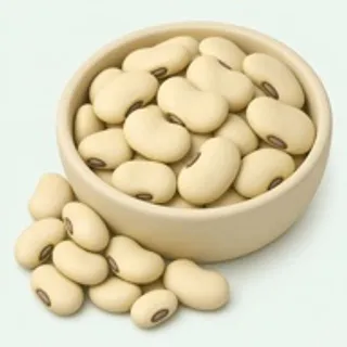 Lima beans — Food Lens