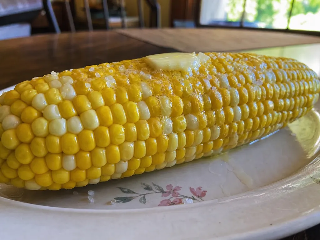 Corn on the Cob — plated and served