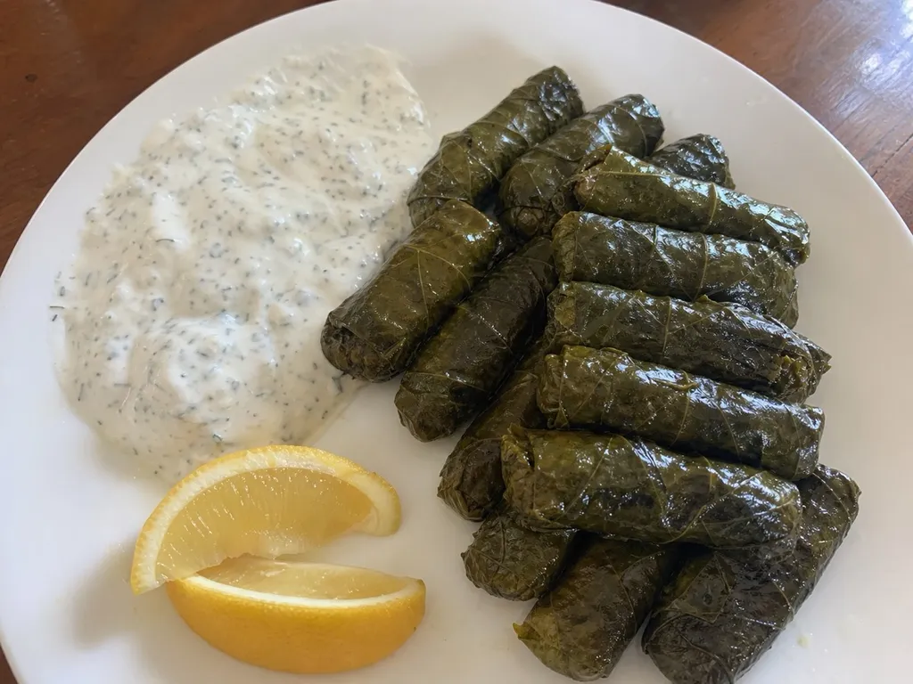 Dolmades with Yogurt-Mint Sauce — plated and served