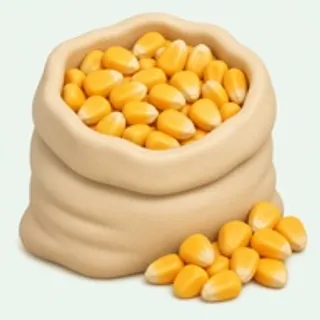 Frozen corn — Food Lens