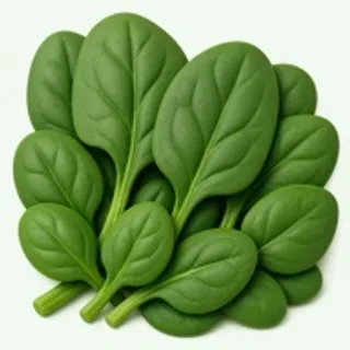 Frozen spinach — Food Lens