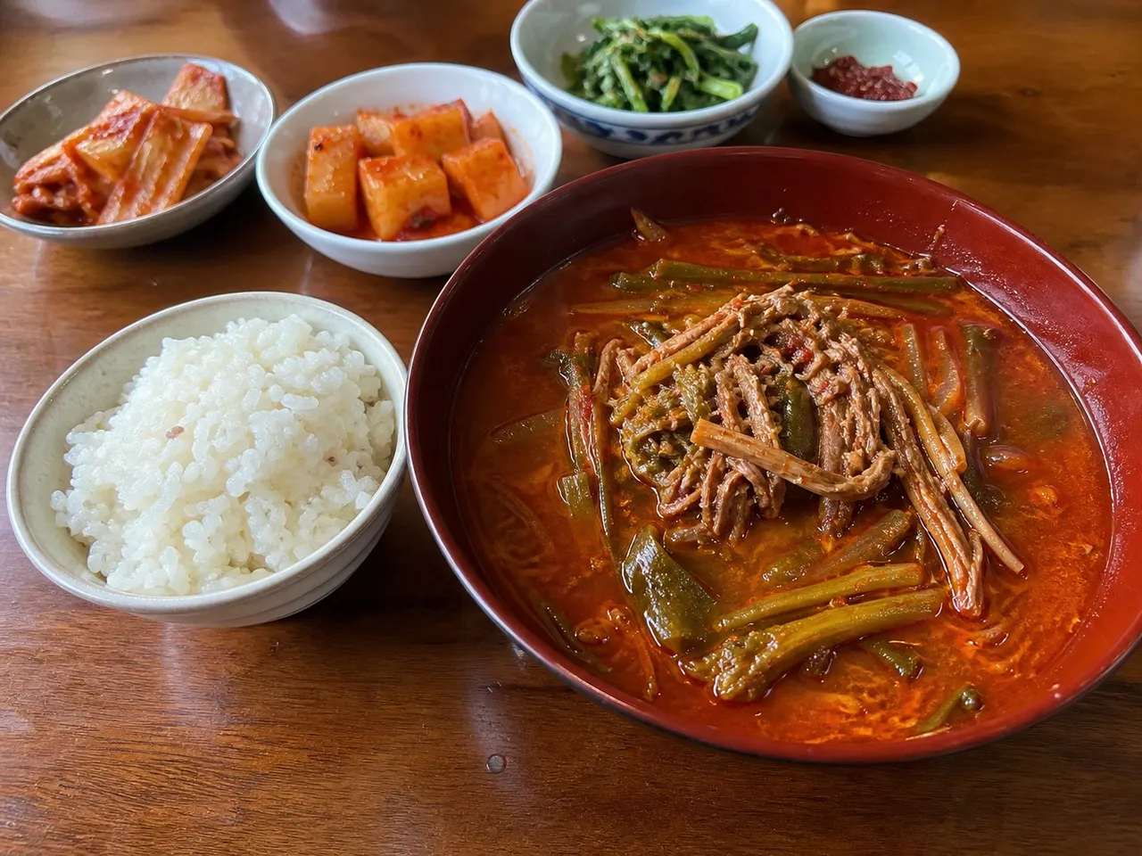 Yukgaejang (Spicy Beef Soup) — served